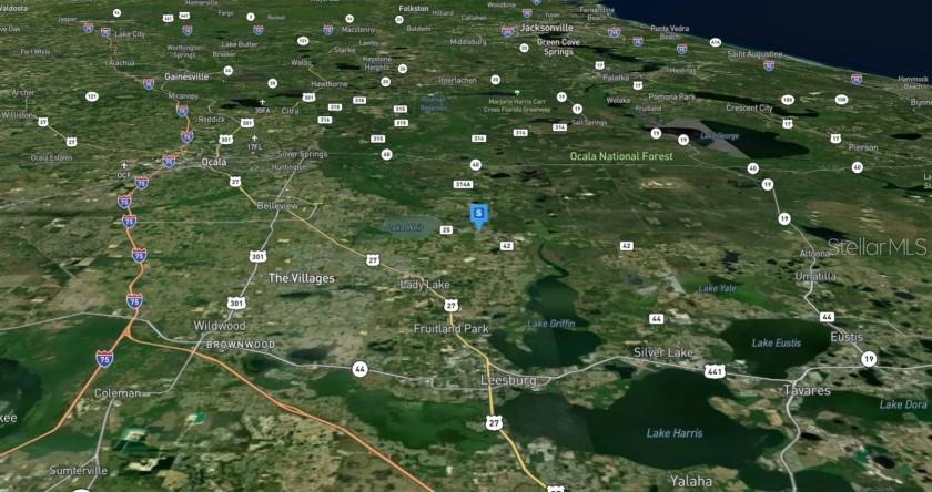 Image 6 of 9 For Malauka Radial