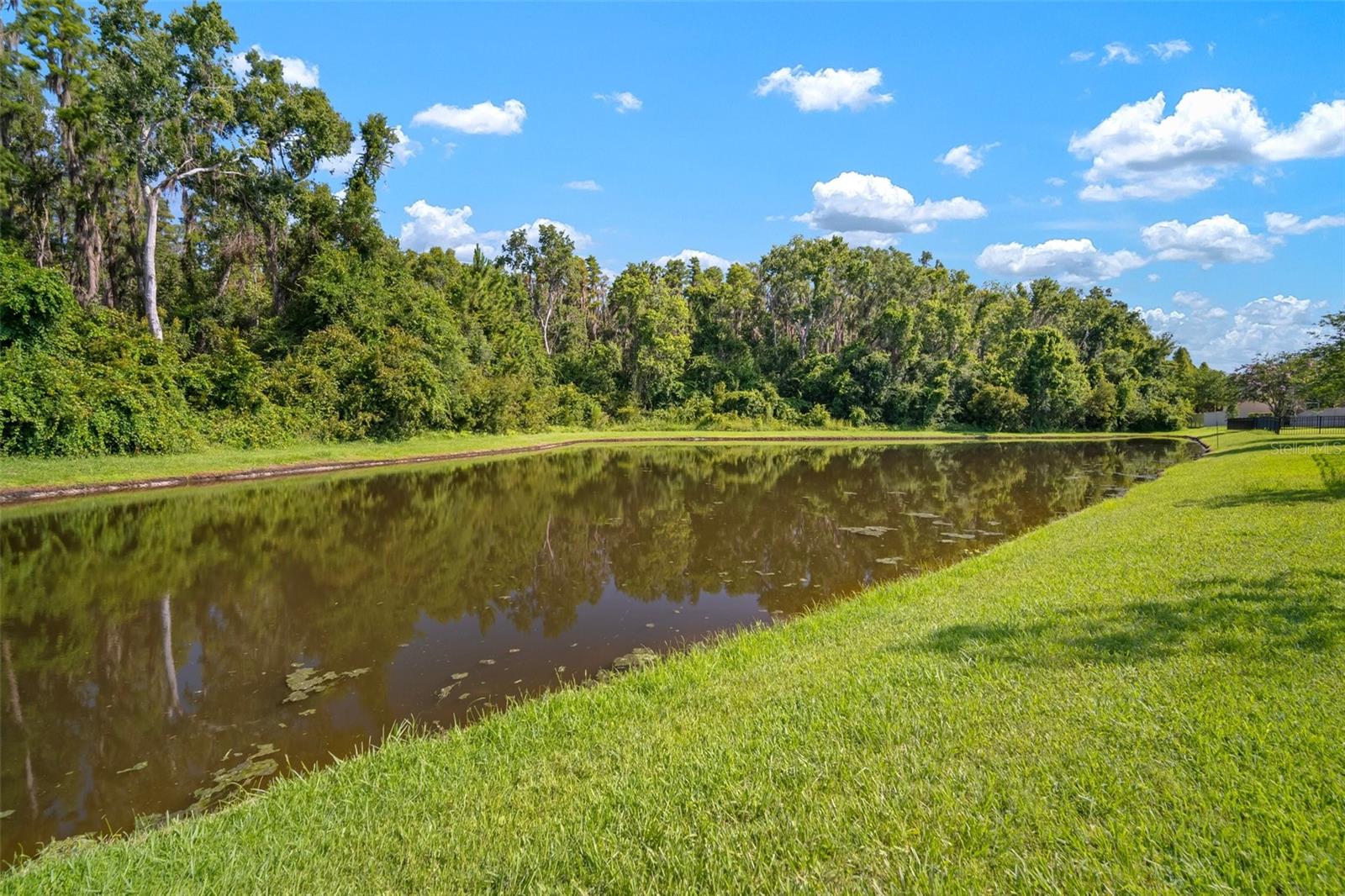 Image 49 of 62 For 1653 Ludington Avenue