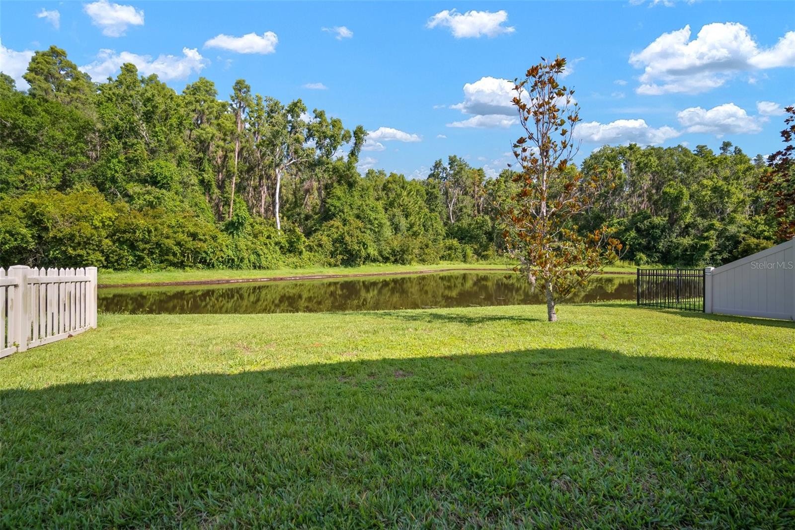 Image 50 of 62 For 1653 Ludington Avenue