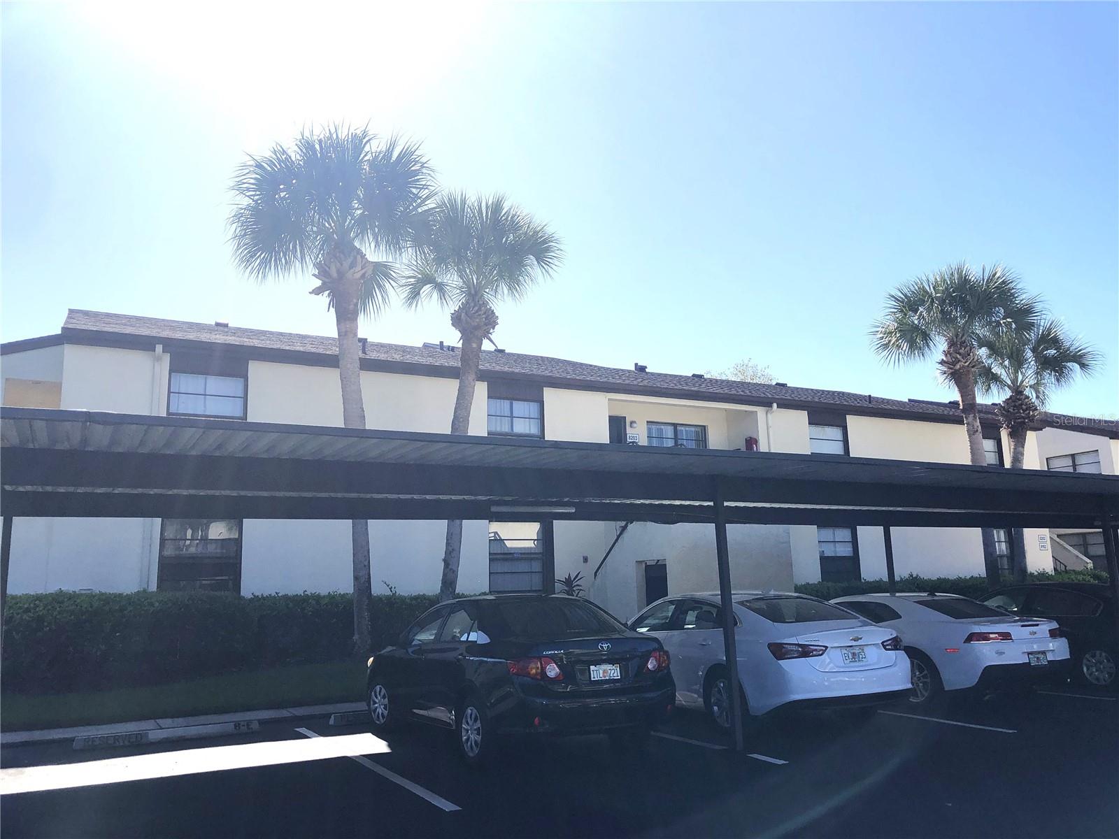 Details for 13608 Village Drive 8203, TAMPA, FL 33618