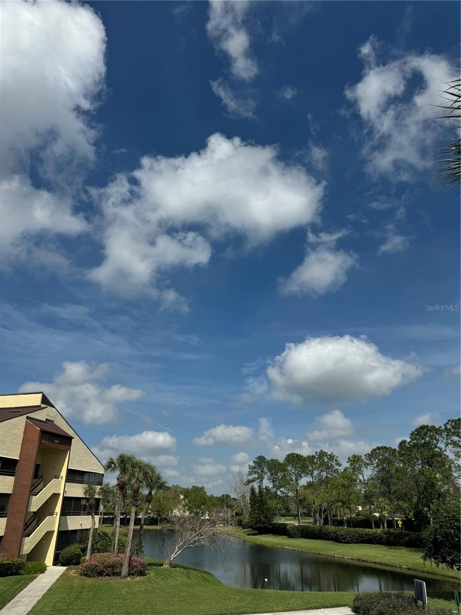 Image 2 of 19 For 13608 Village Drive 8203