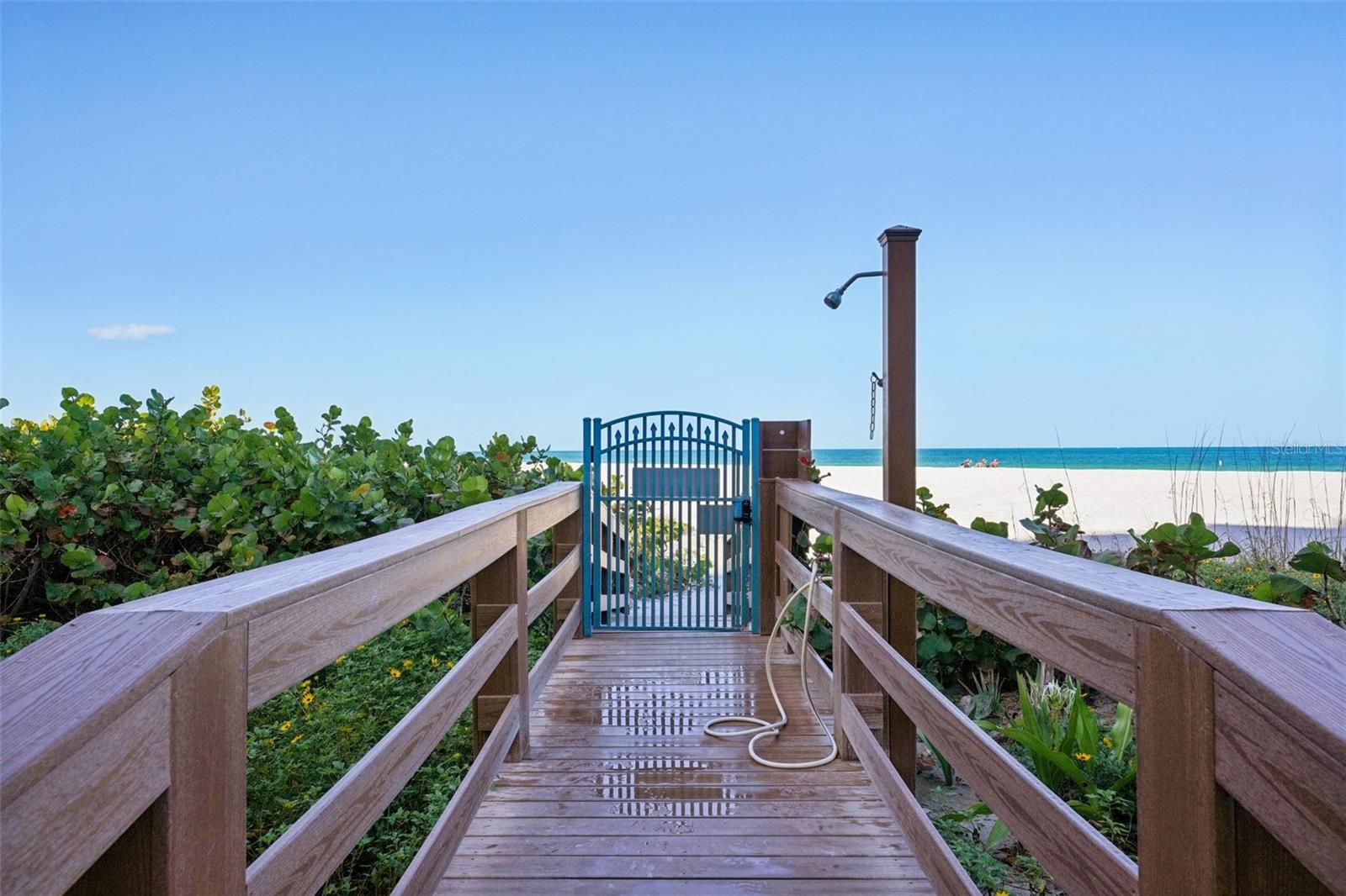 Image 39 of 50 For 1520 Gulf Boulevard 202