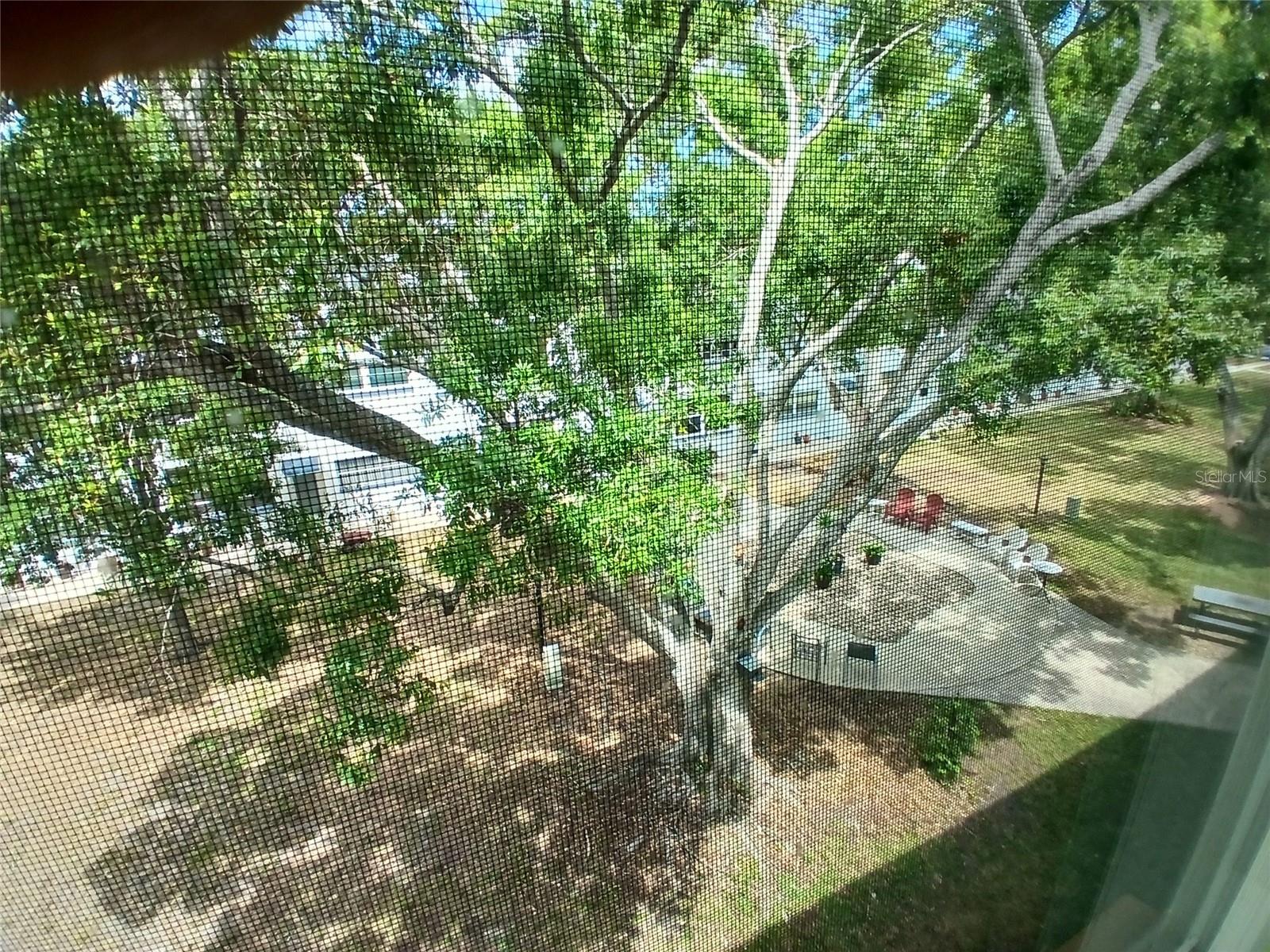 Image 16 of 17 For 5880 38th Avenue N 304