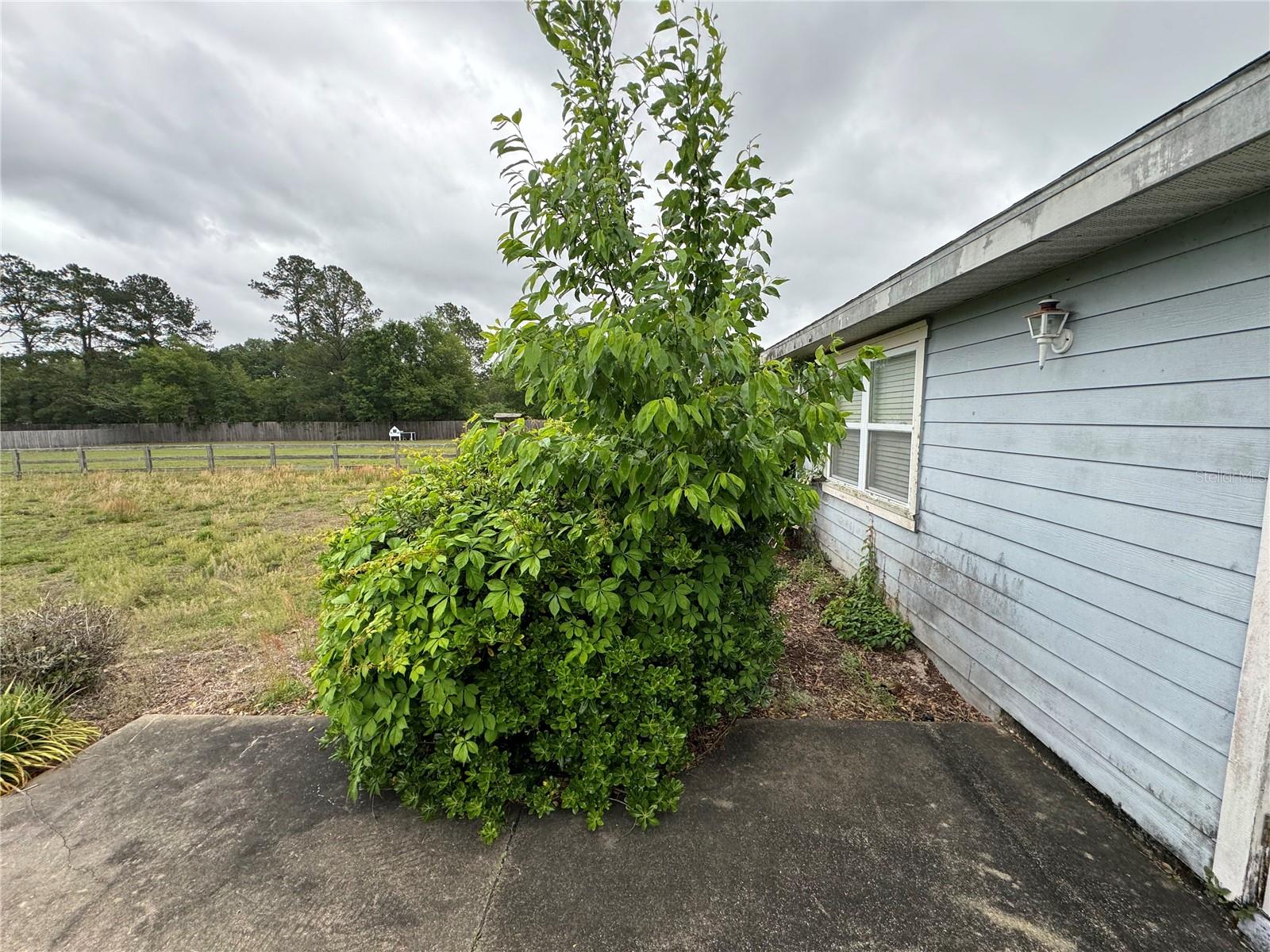 Image 33 of 37 For 9590 98th Avenue