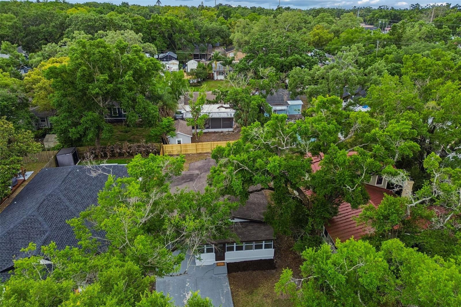 Listing photo id 37 for 911 Patterson Street