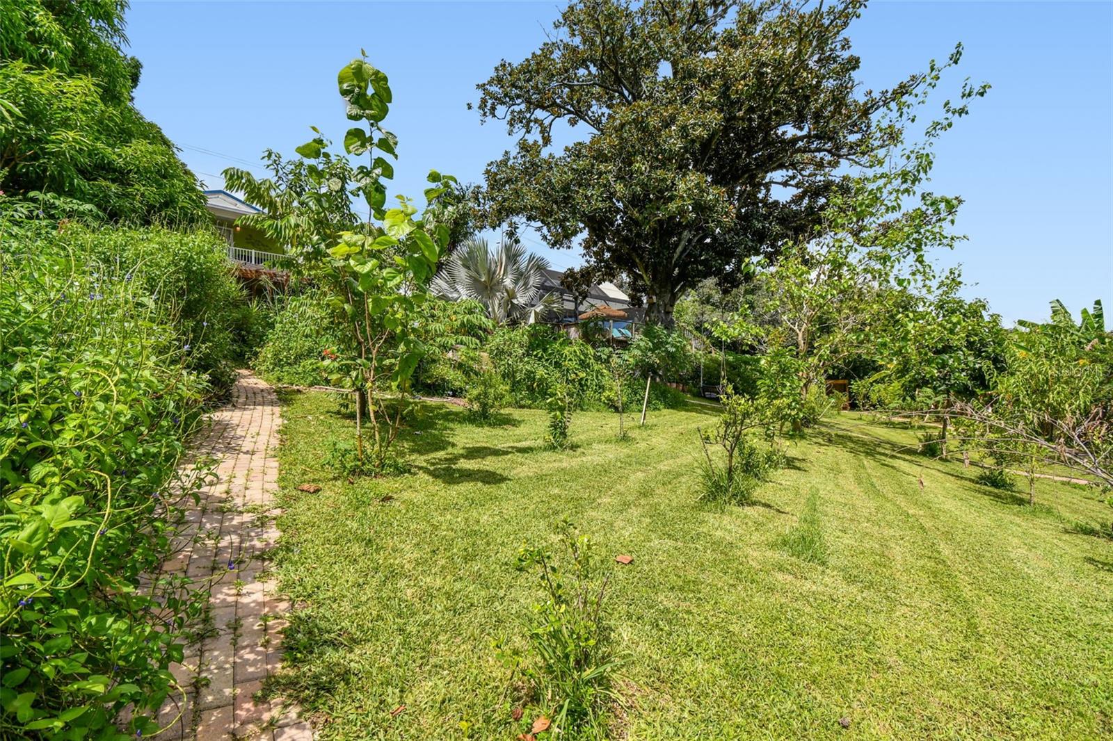 Listing photo id 2 for 3203 Yukon Street