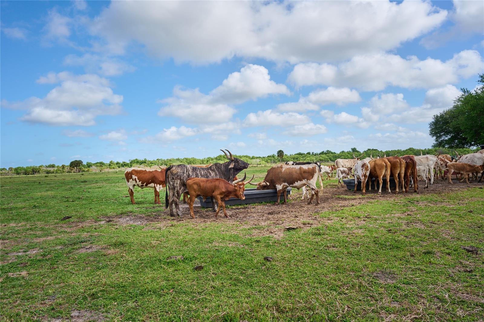 Image 27 of 43 For 3200 River Ranch Boulevard 160