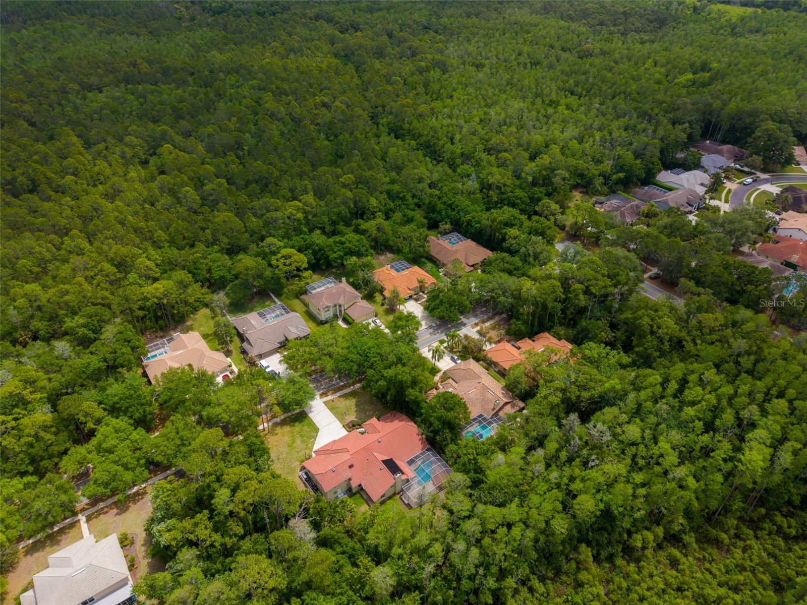 Image 77 of 85 For 1404 East Lake Woodlands Parkway