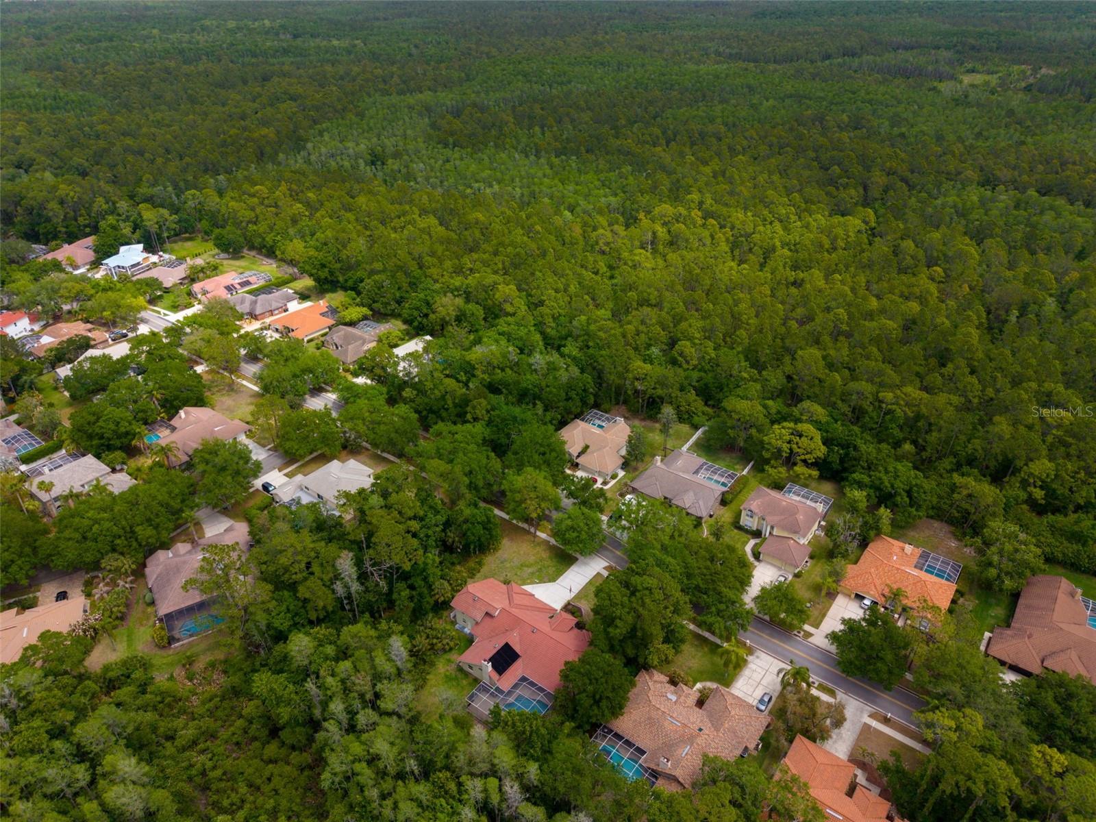 Image 81 of 85 For 1404 East Lake Woodlands Parkway