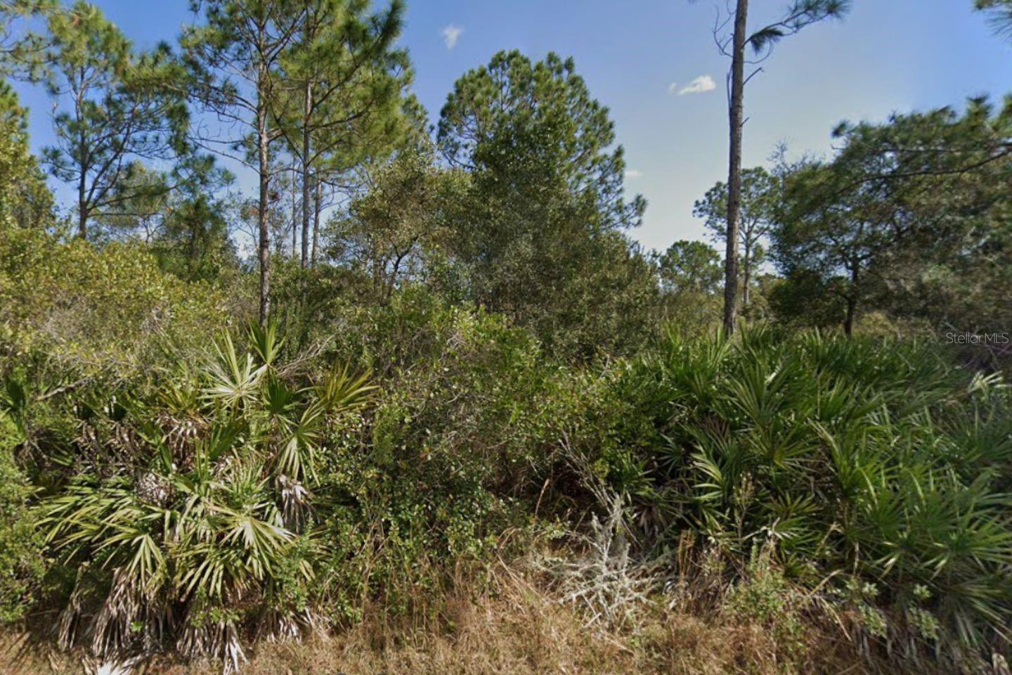 Image 4 of 5 For 29 Ulmaceal Path