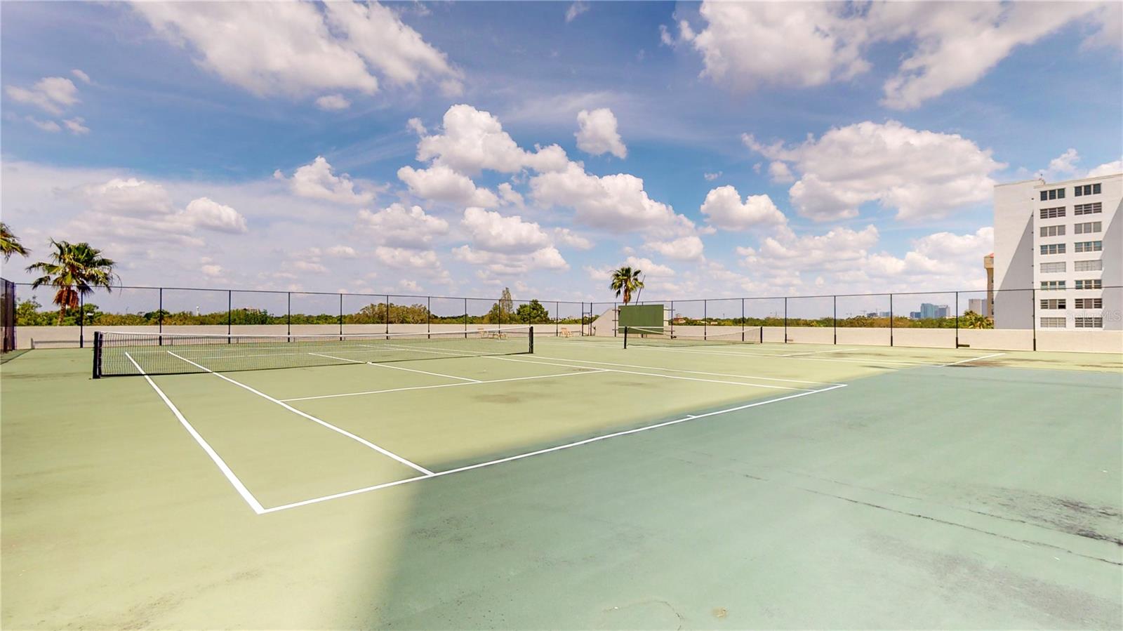 Image 42 of 47 For 2413 Bayshore Boulevard 803