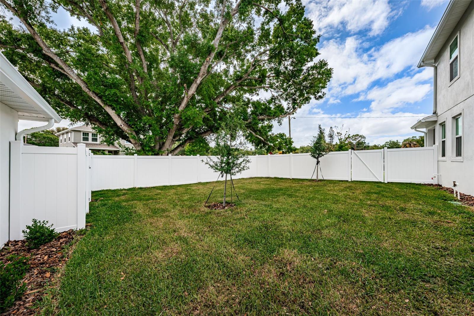 Image 37 of 50 For 1701 25th Avenue N