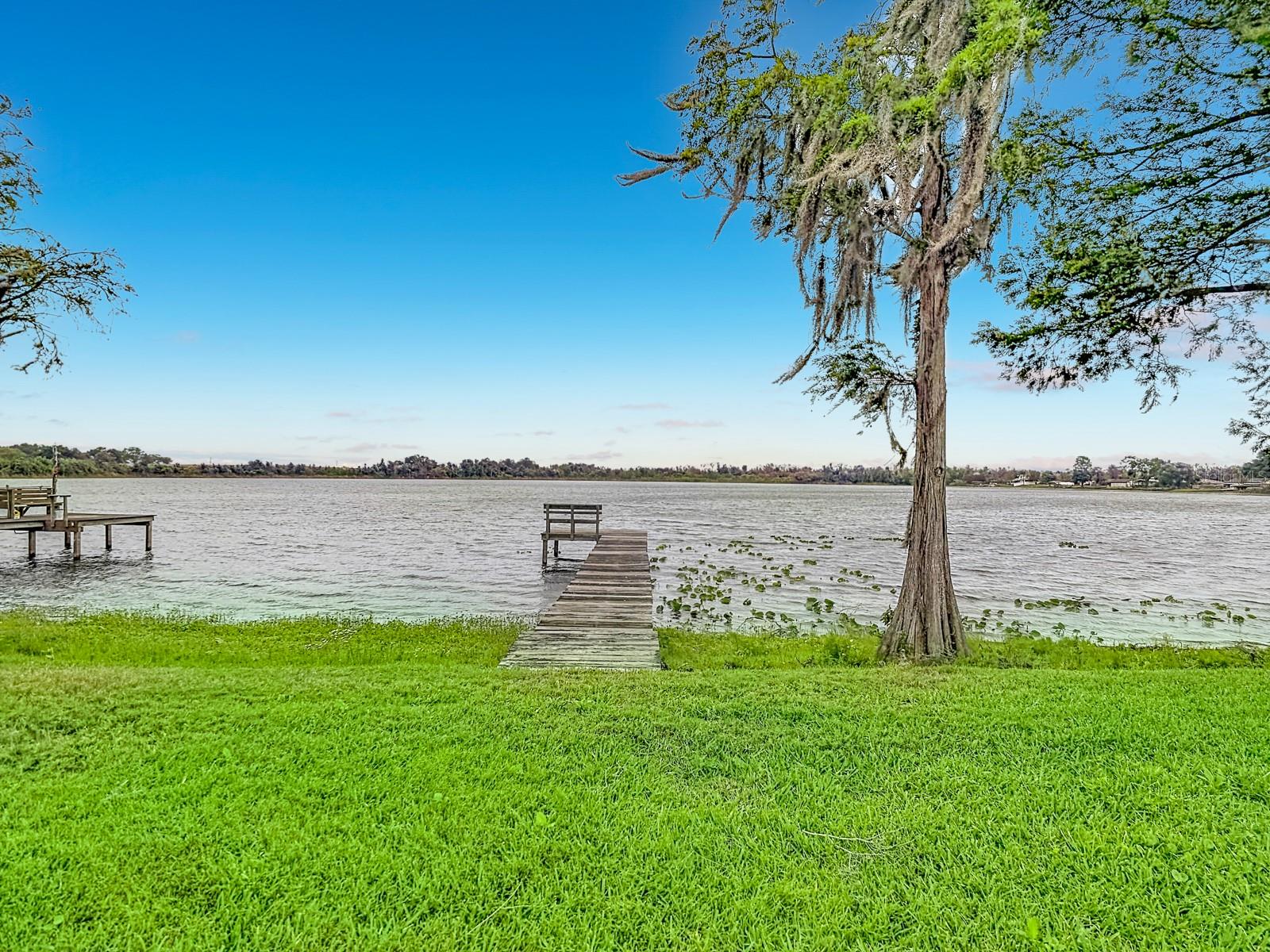 Image 6 of 48 For 247 Lake Pansy Drive