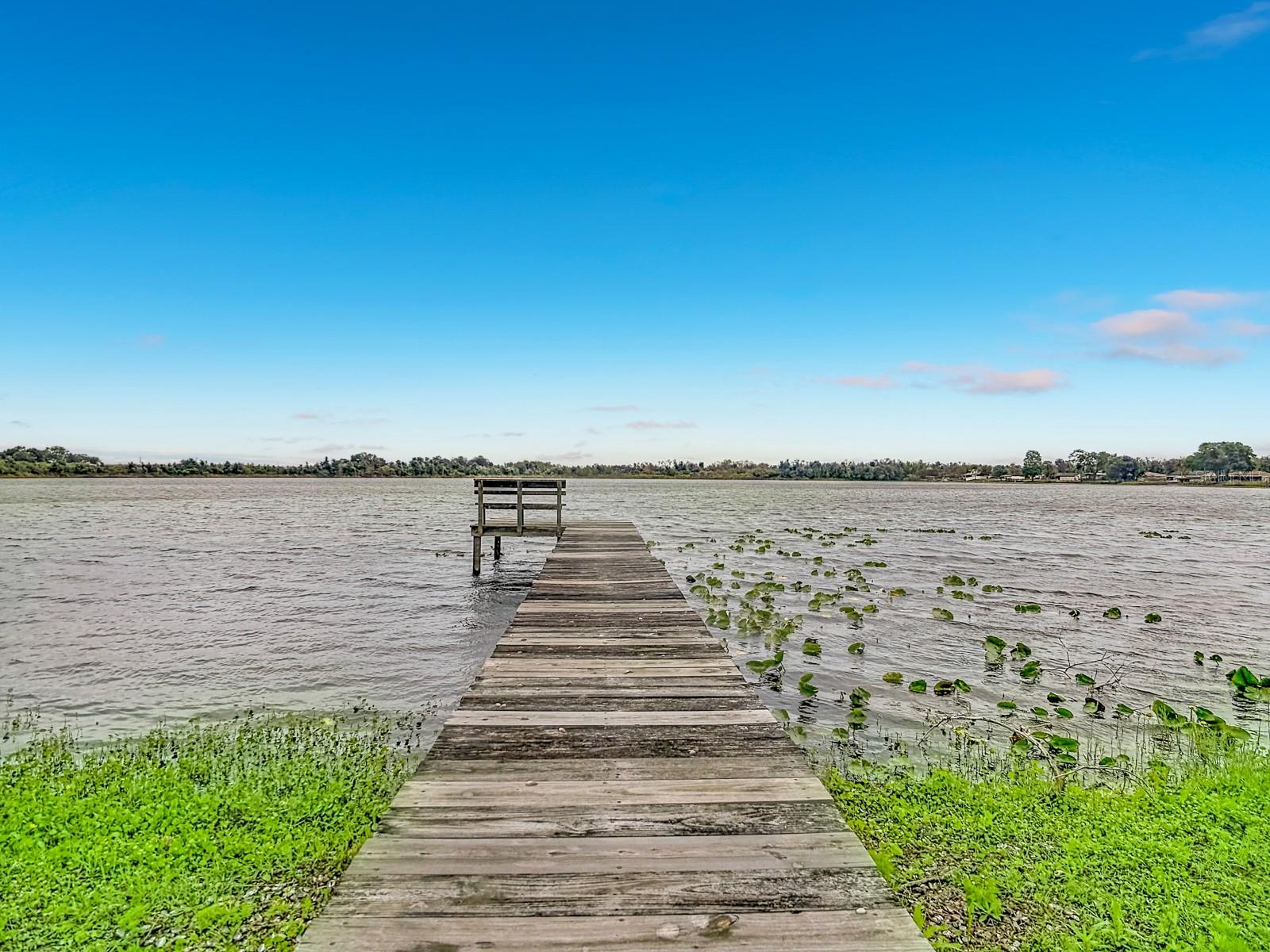 Image 7 of 48 For 247 Lake Pansy Drive