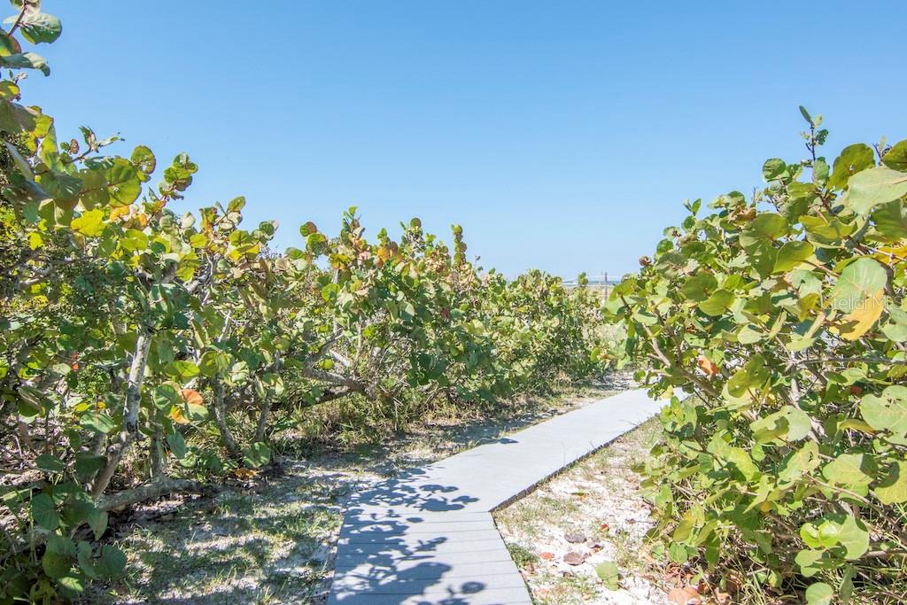 Image 40 of 79 For 3200 Gulf Boulevard 103