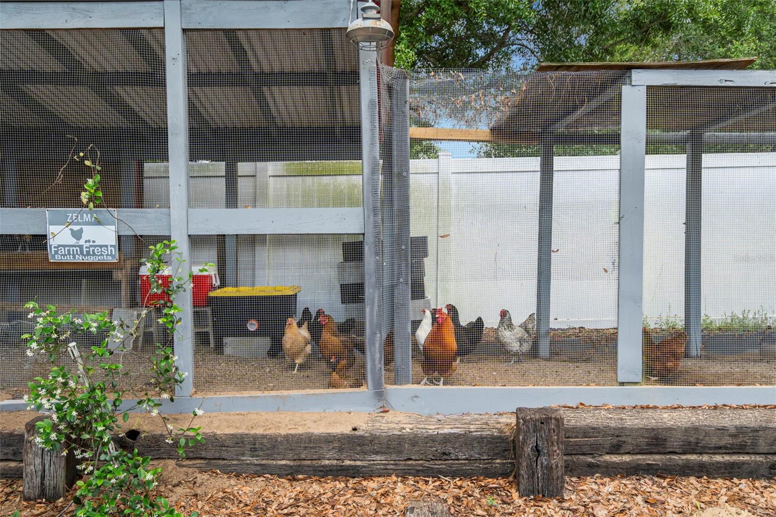 Image 42 of 70 For 6702 Josie Drive