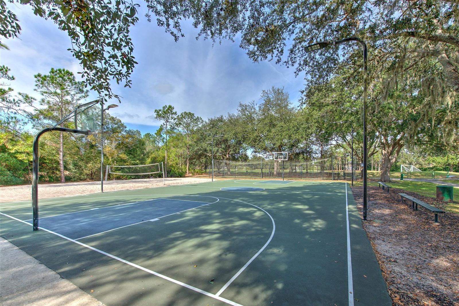 Image 34 of 37 For 9205 Celebration Court