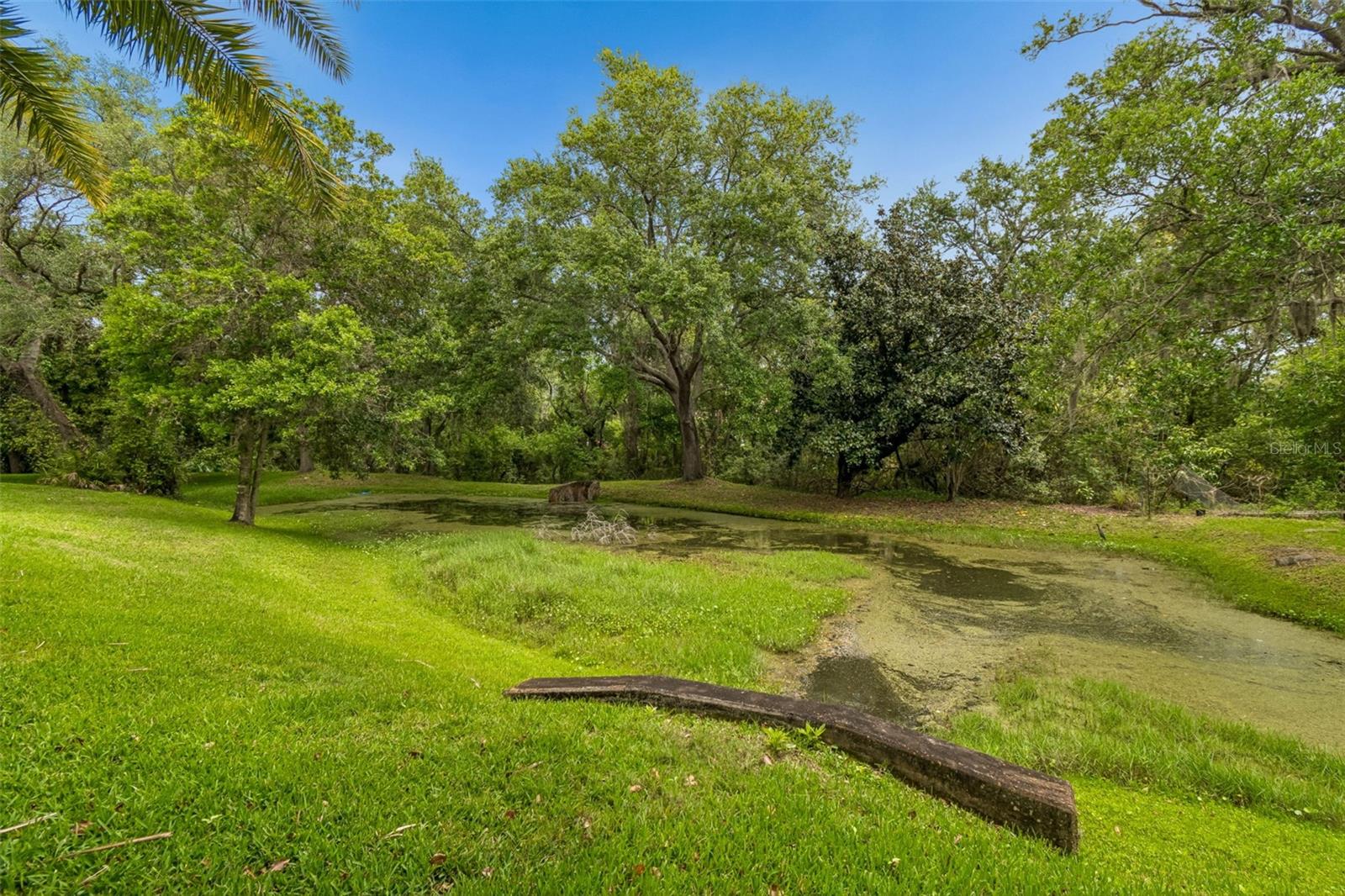 Image 100 of 100 For 3040 Turtle Brooke