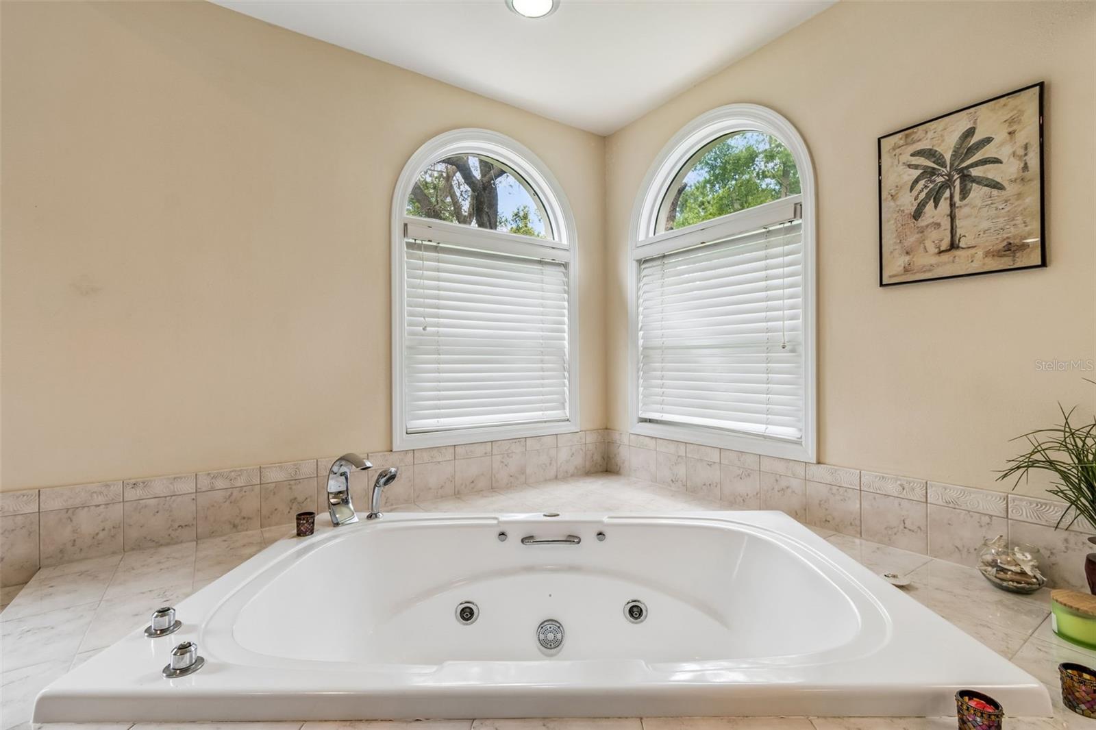 Image 27 of 100 For 3040 Turtle Brooke