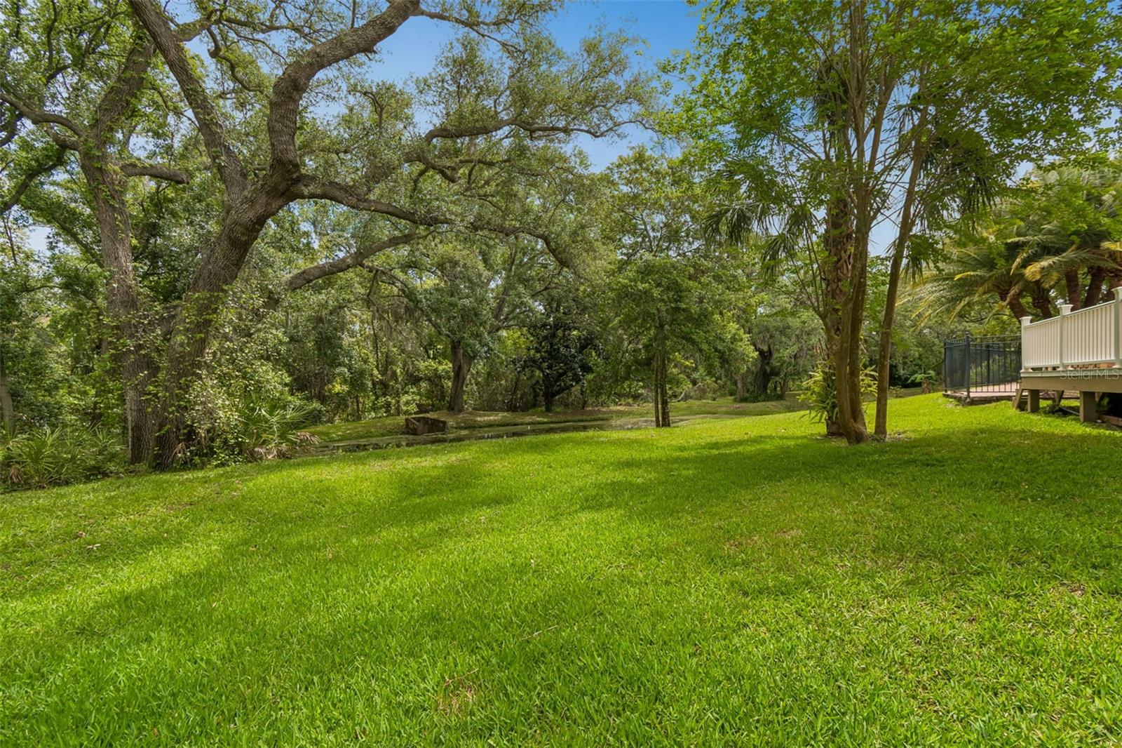 Image 87 of 100 For 3040 Turtle Brooke