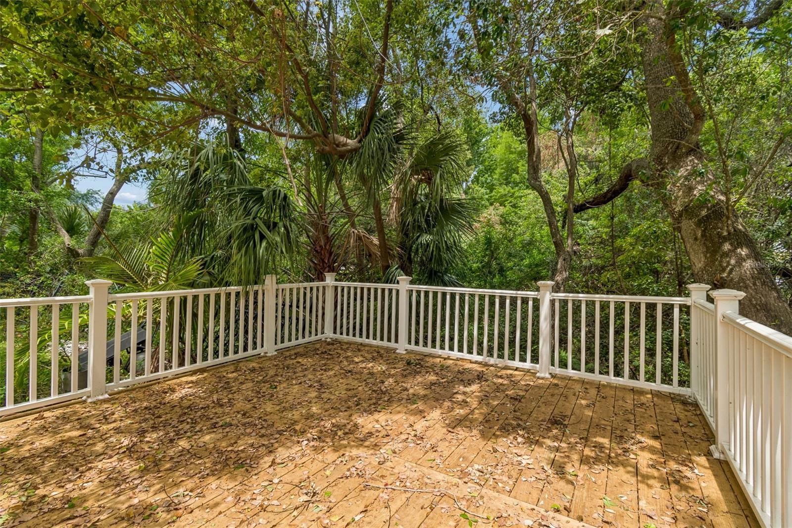 Image 91 of 100 For 3040 Turtle Brooke