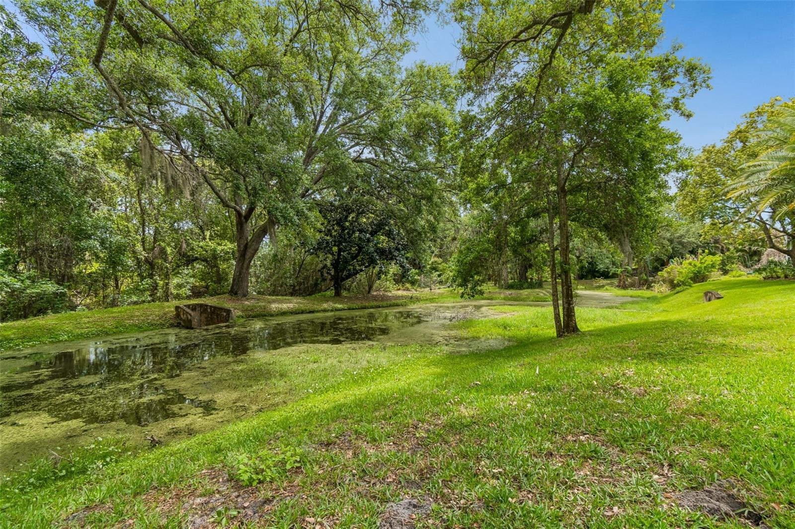 Image 96 of 100 For 3040 Turtle Brooke