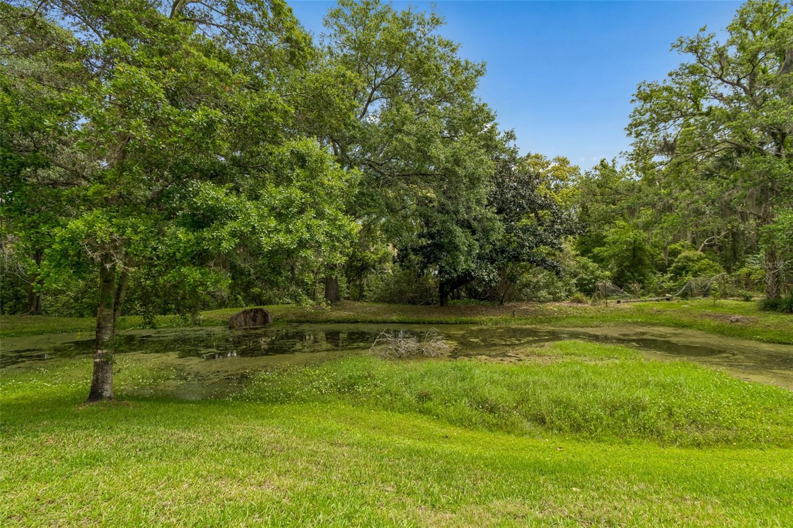 Image 97 of 100 For 3040 Turtle Brooke