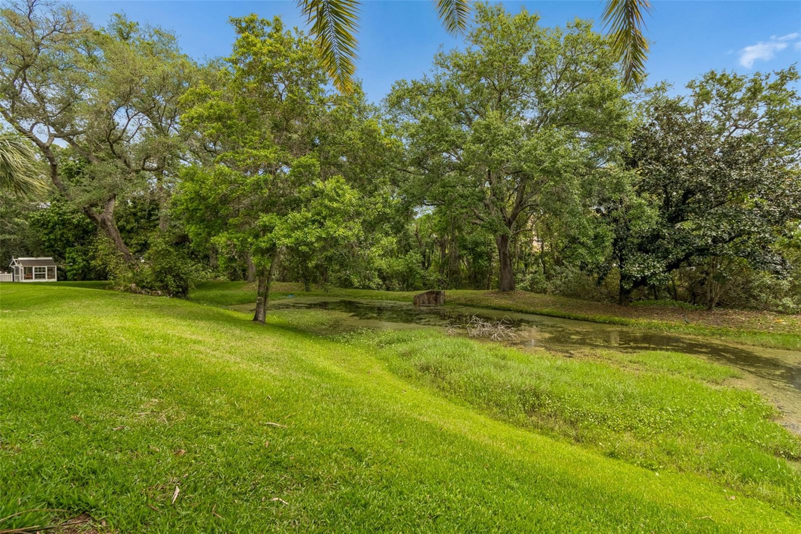 Image 98 of 100 For 3040 Turtle Brooke