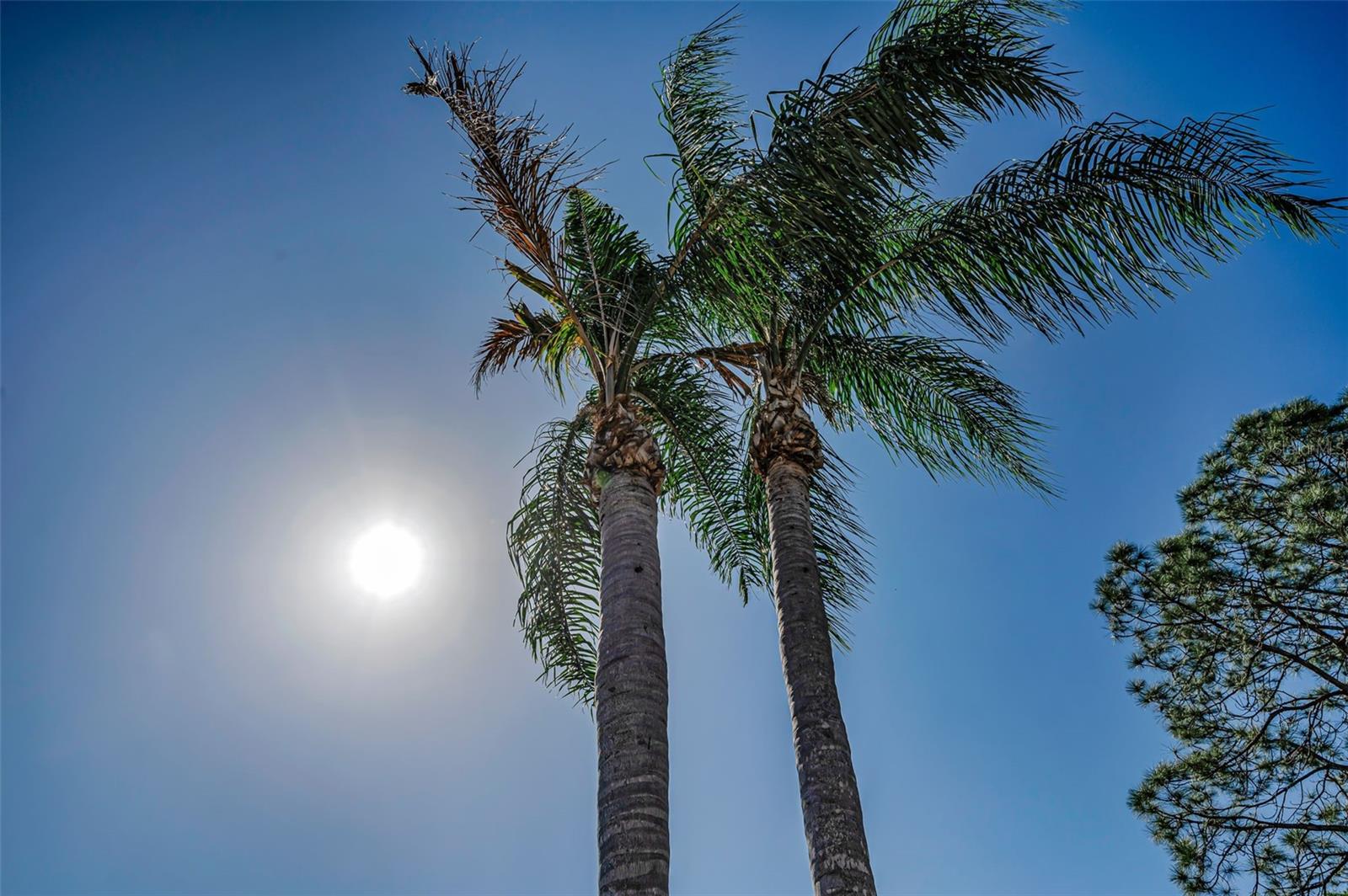 Listing photo id 69 for 3216 Harvest Moon Drive