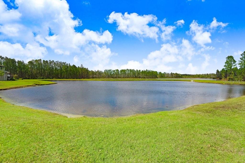 Listing photo id 36 for 16247 November Rain Court