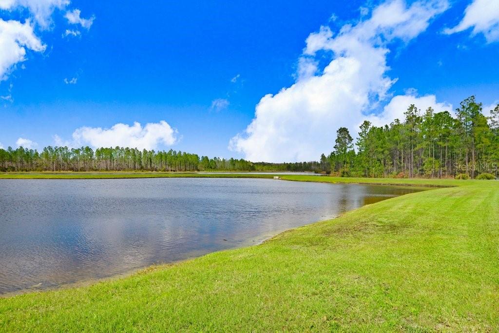 Listing photo id 37 for 16247 November Rain Court