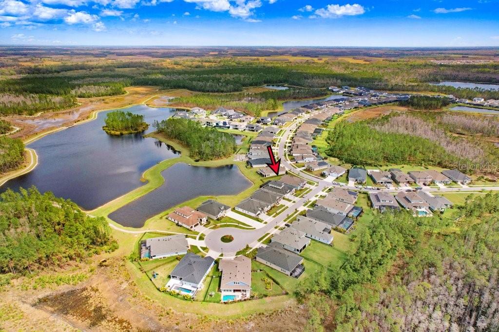 Listing photo id 51 for 16247 November Rain Court