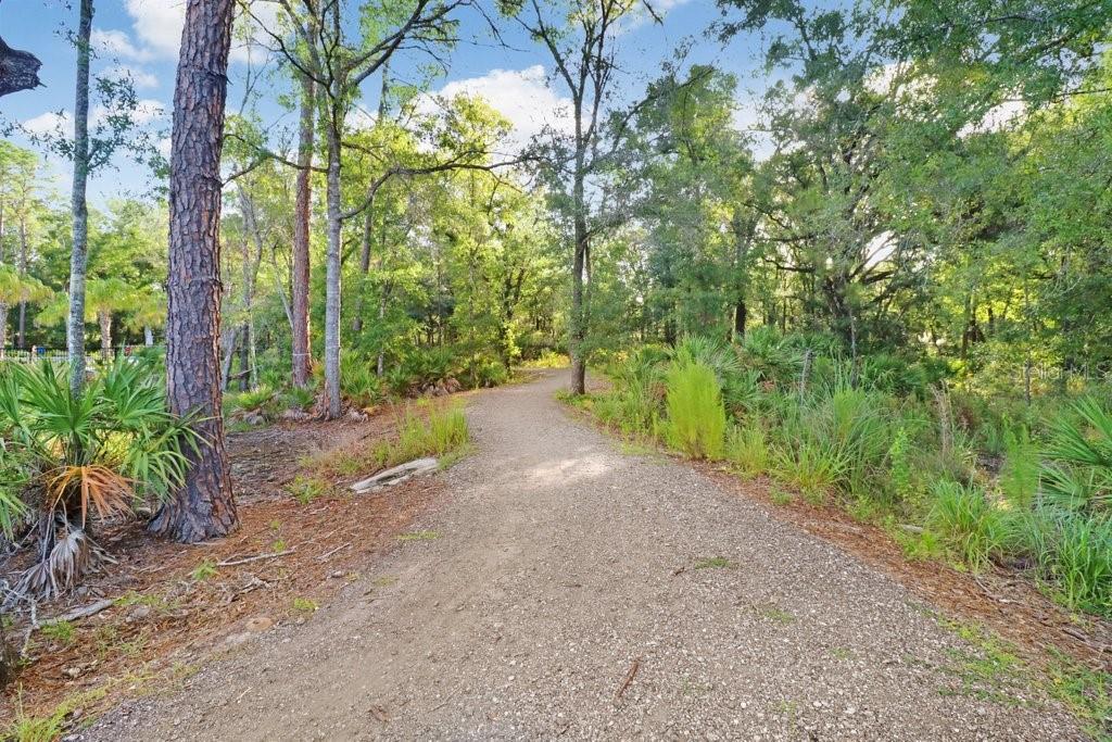 Listing photo id 81 for 16247 November Rain Court