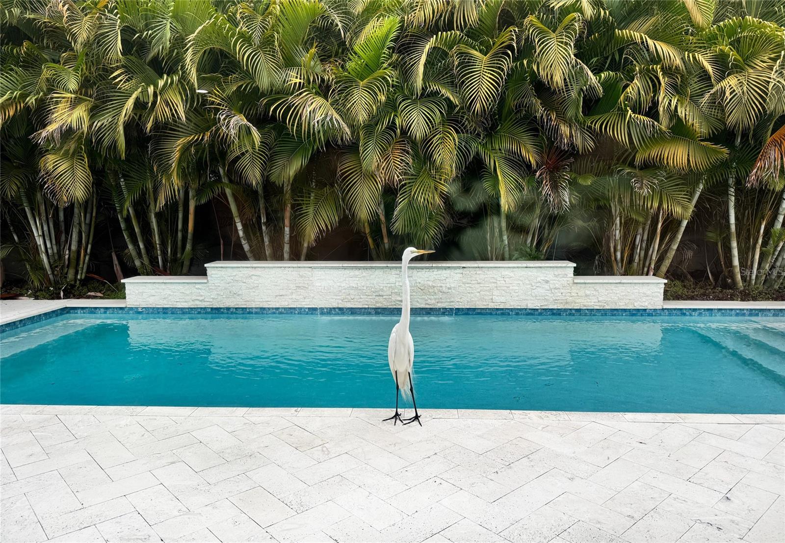 Image 4 of 55 For 4626 Bayshore Boulevard Ne