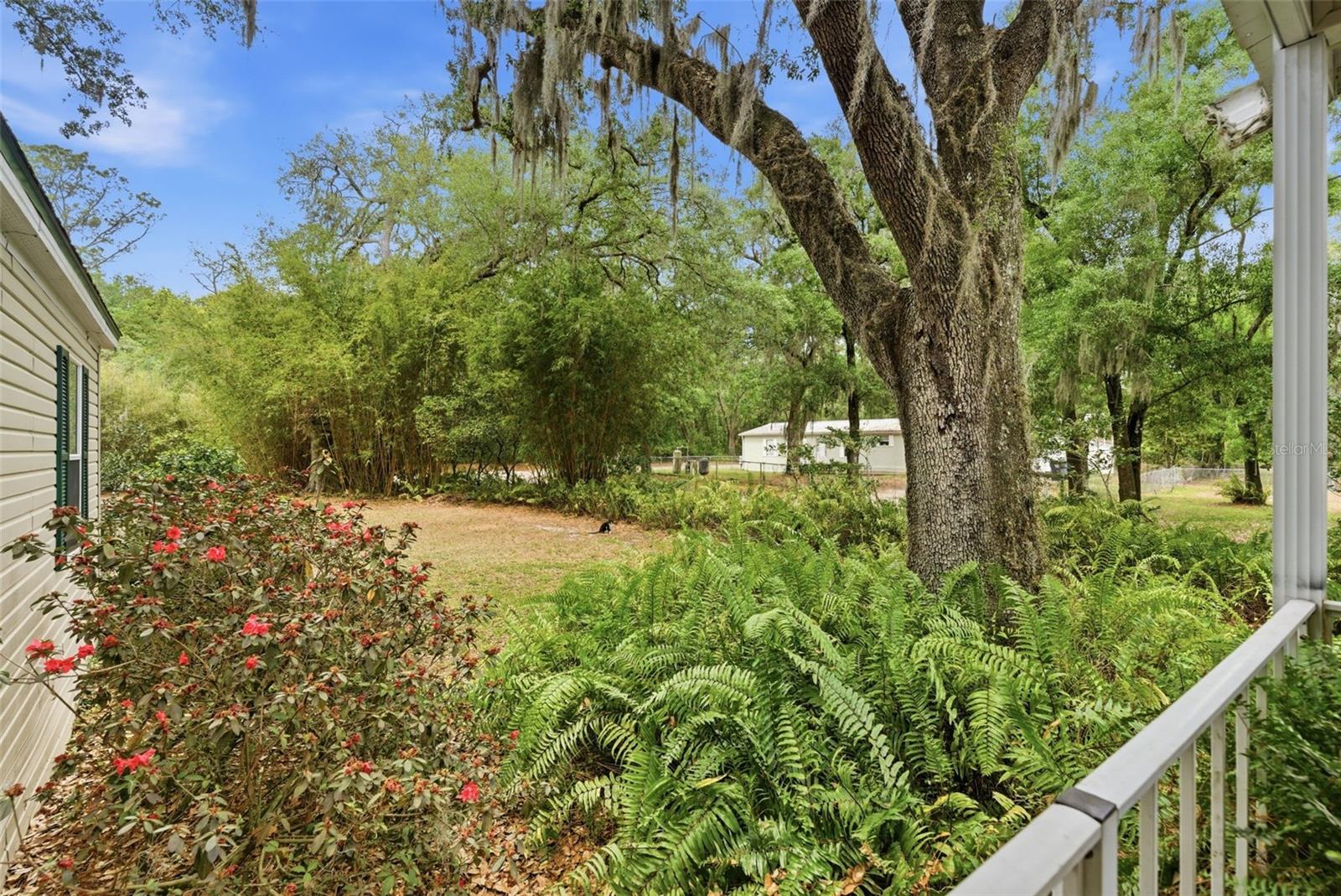 Listing photo id 26 for 9101 Wood Terrace Drive