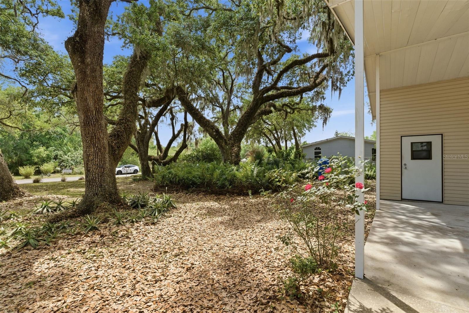 Listing photo id 27 for 9101 Wood Terrace Drive