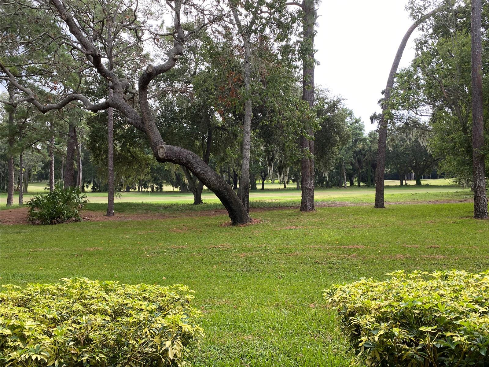 Image 3 of 25 For 36750 Us Highway 19 N 19-115