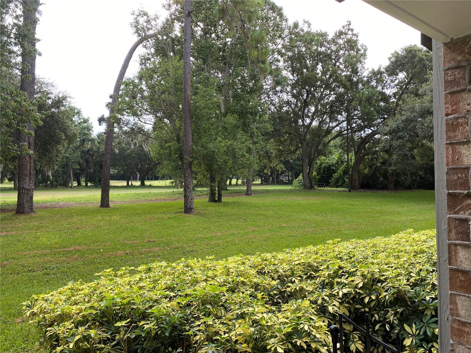 Image 4 of 25 For 36750 Us Highway 19 N 19-115