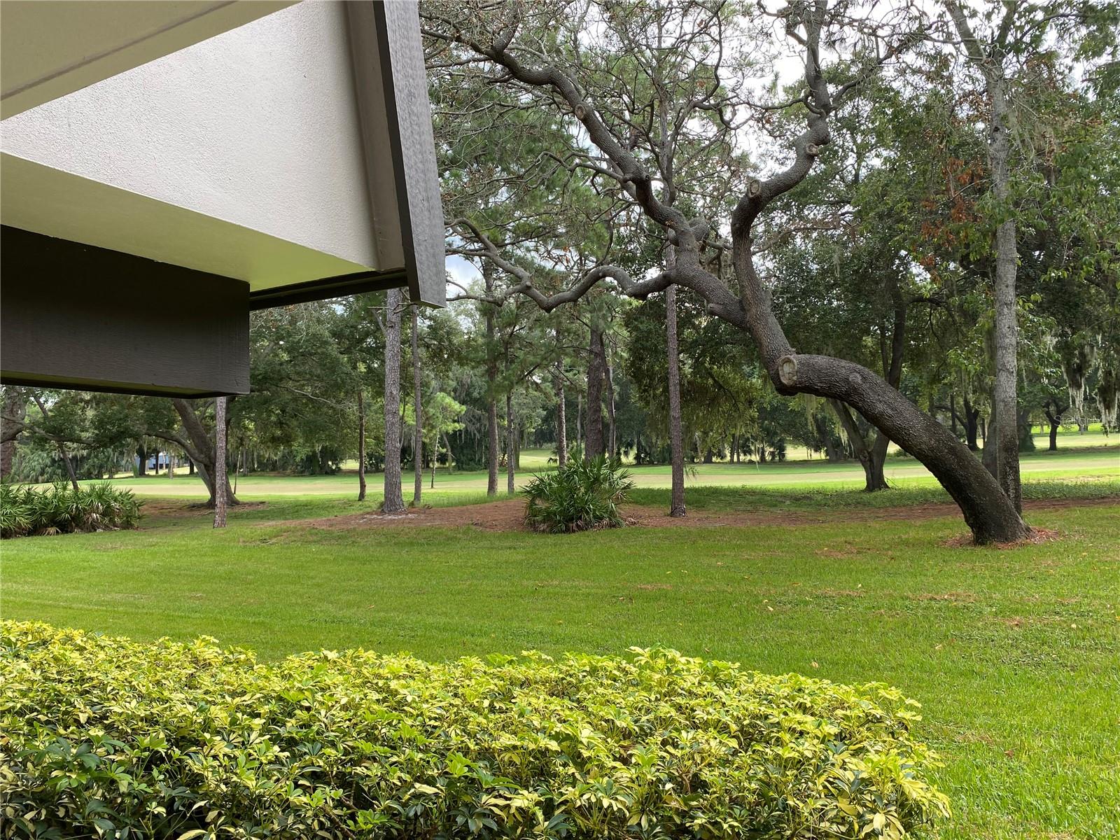 Image 5 of 25 For 36750 Us Highway 19 N 19-115