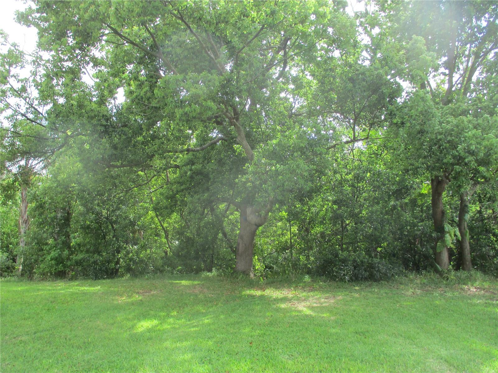 Image 19 of 19 For 511 Finsbury Circle B