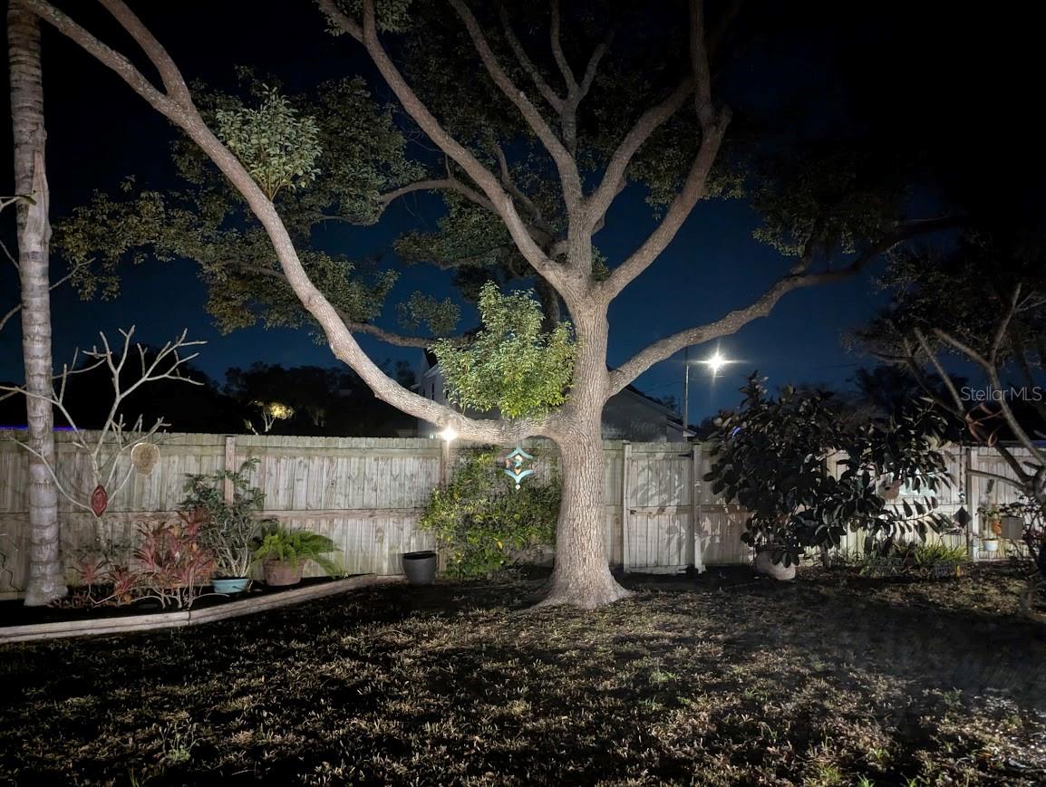 Image 33 of 62 For 12258 92nd Street