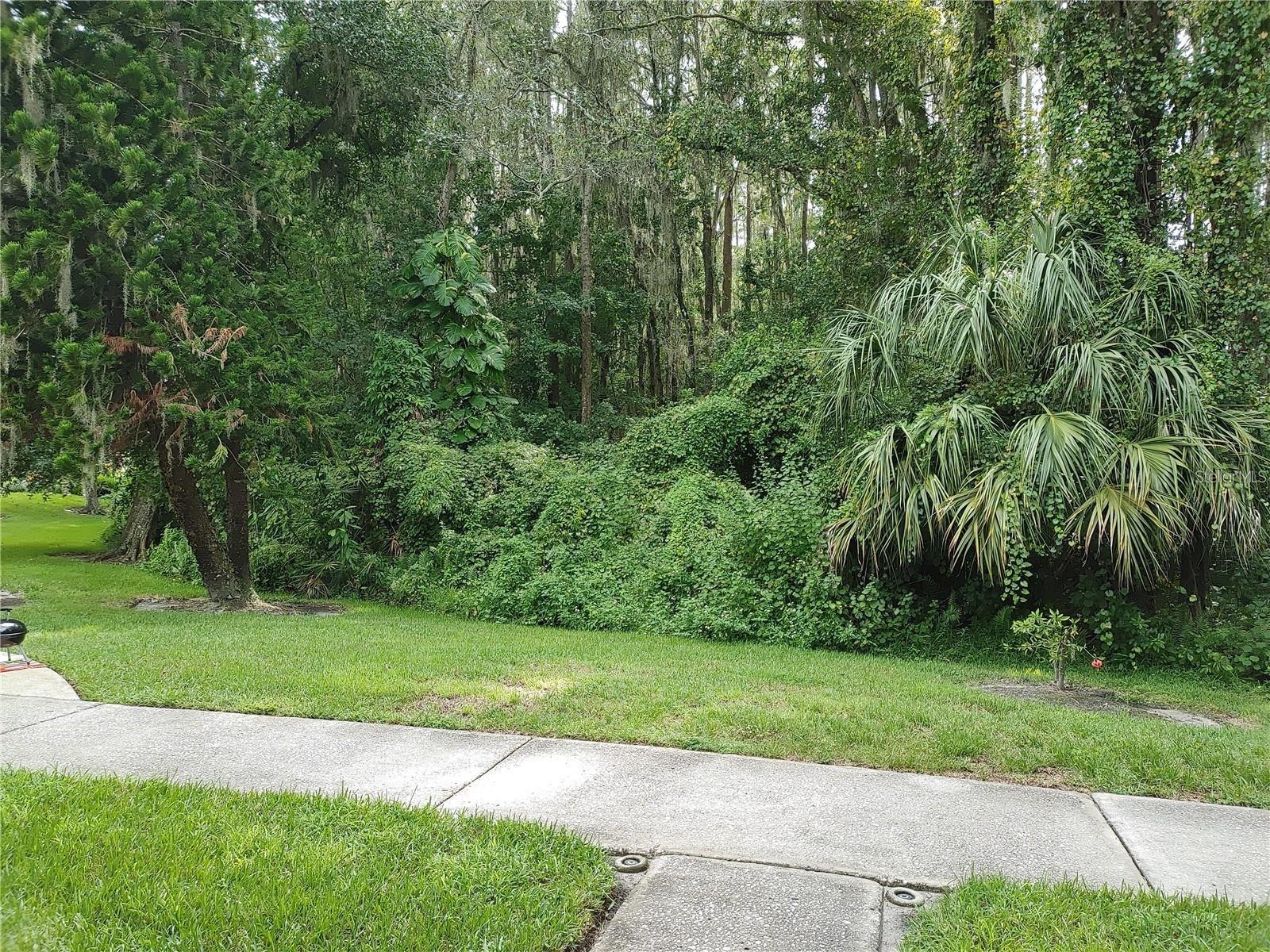 Image 5 of 14 For 1983 Abrico Drive H-13