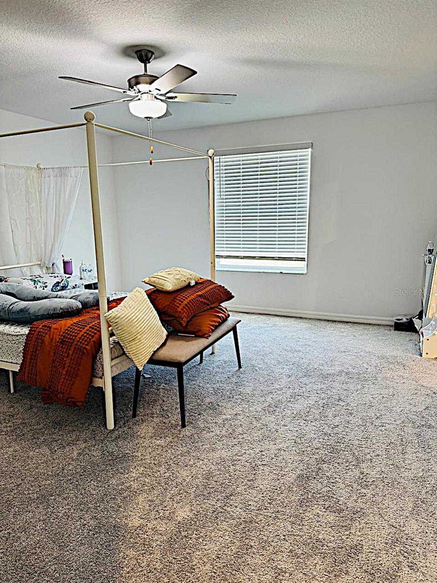 Image 30 of 51 For 13259 Palmerston Road