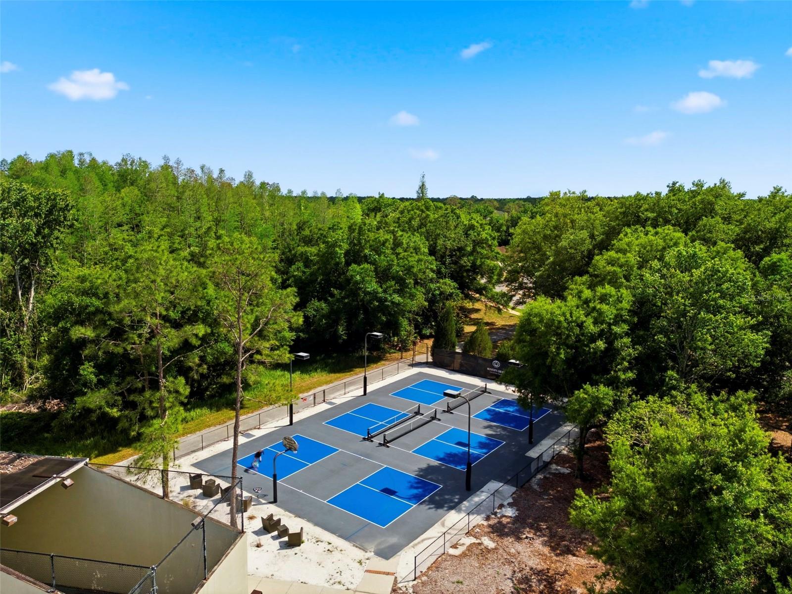 Image 87 of 100 For 9207 Meadow Lane Court