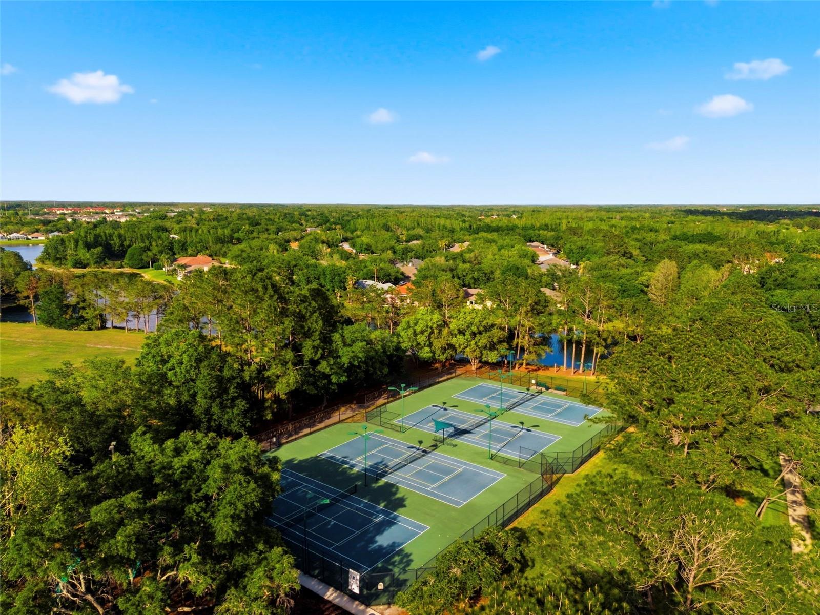 Image 92 of 100 For 9207 Meadow Lane Court