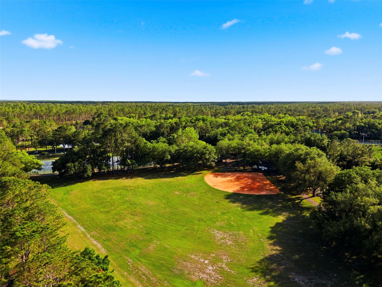 Image 93 of 100 For 9207 Meadow Lane Court