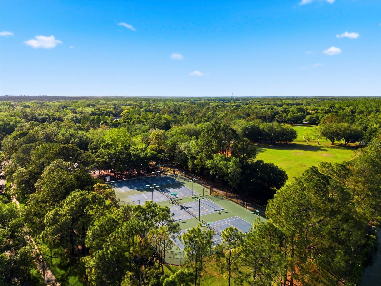 Image 94 of 100 For 9207 Meadow Lane Court