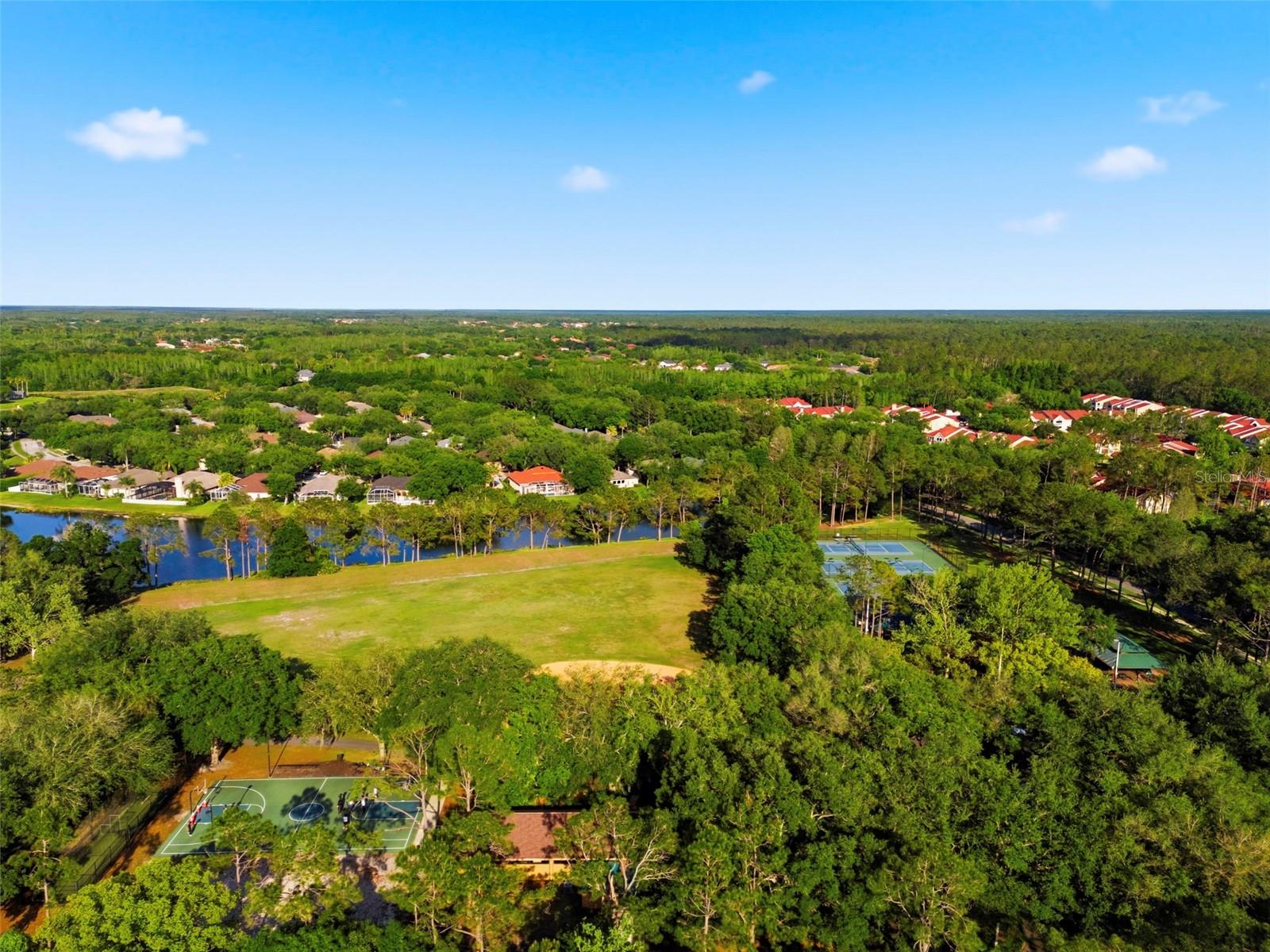 Image 95 of 100 For 9207 Meadow Lane Court