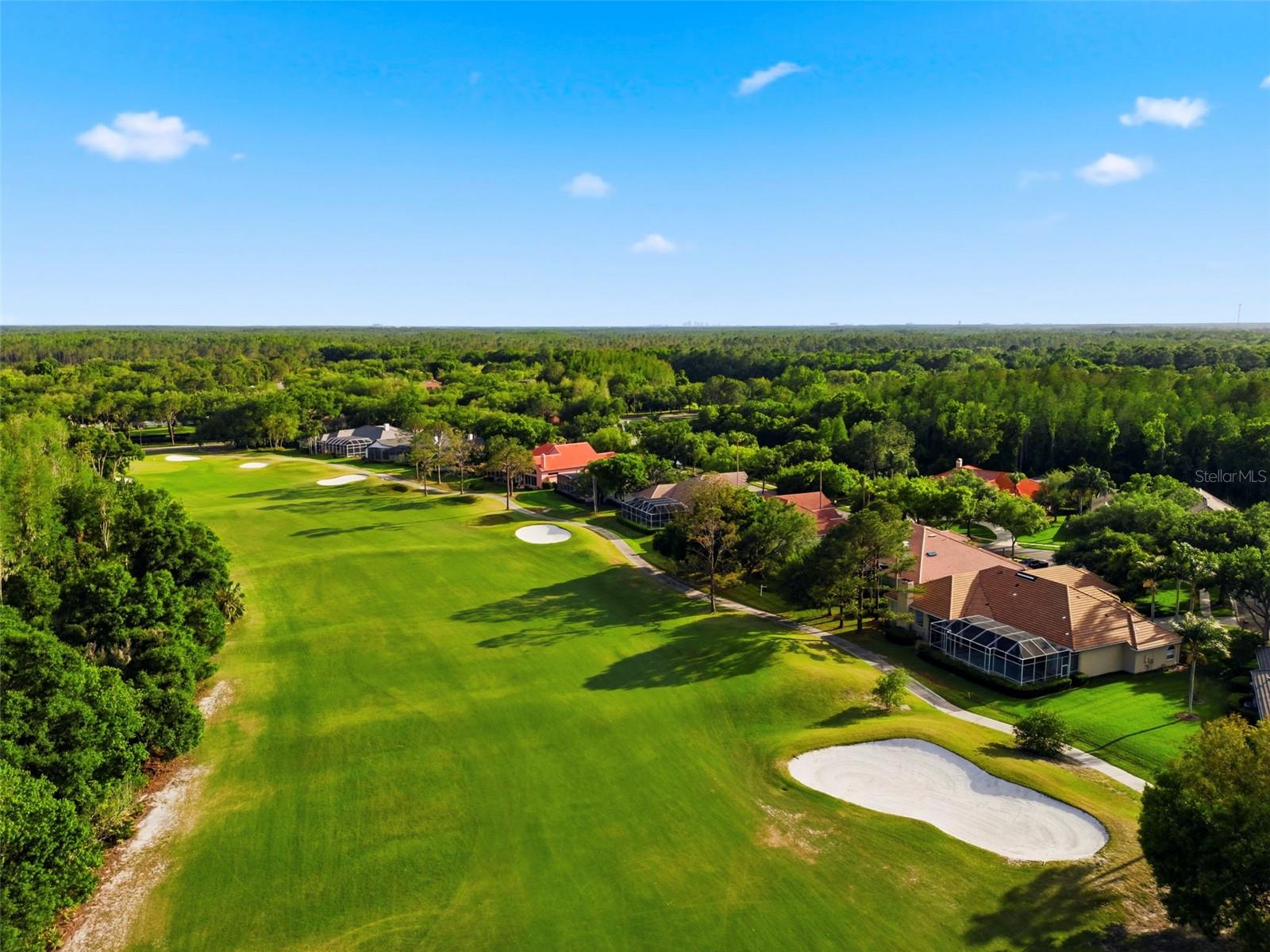 Image 97 of 100 For 9207 Meadow Lane Court