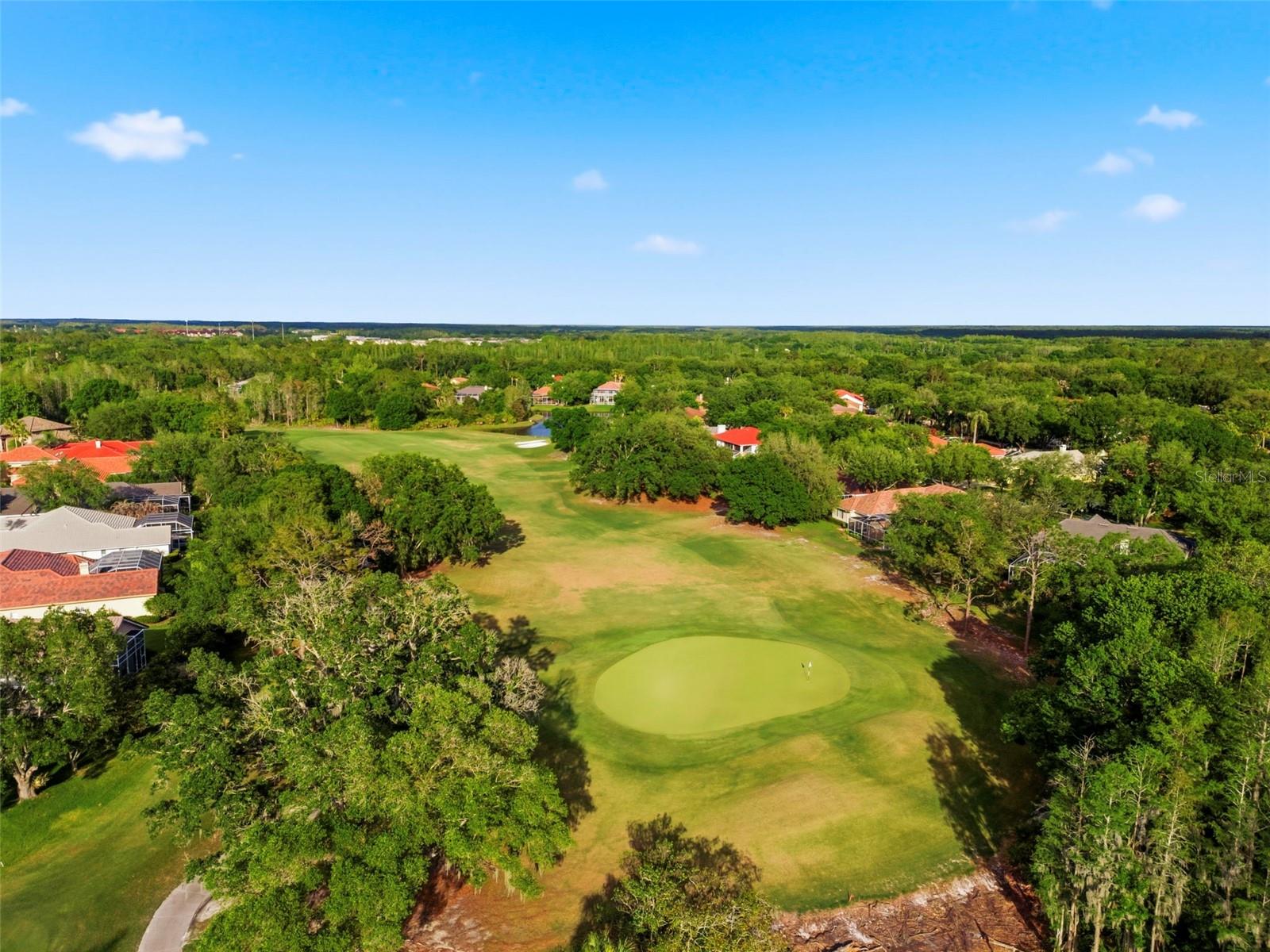 Image 98 of 100 For 9207 Meadow Lane Court